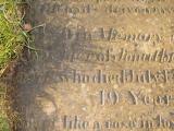 image of grave number 432355